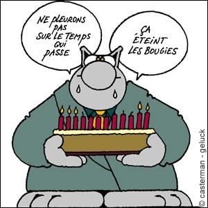 lechat.jpg