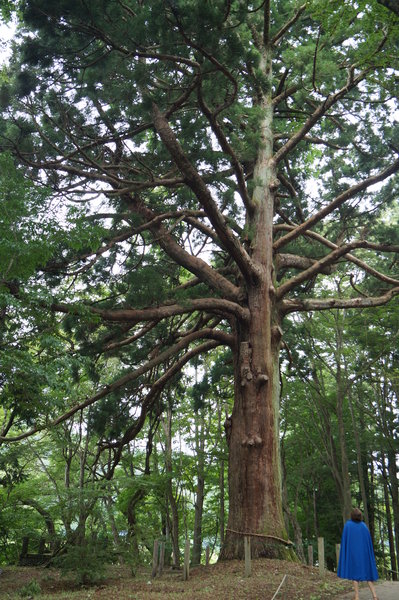 DSC03383.JPG