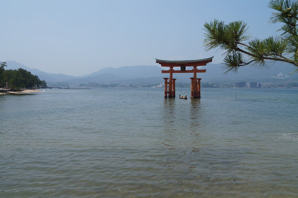 DSC02322.JPG