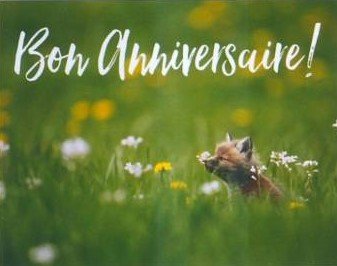 -carte-petit-renard-bon-anniversaire.jpg