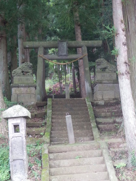 P8144427.JPG