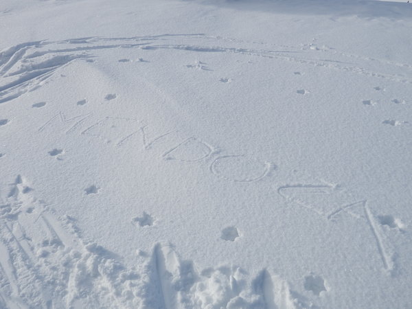P2284943.JPG