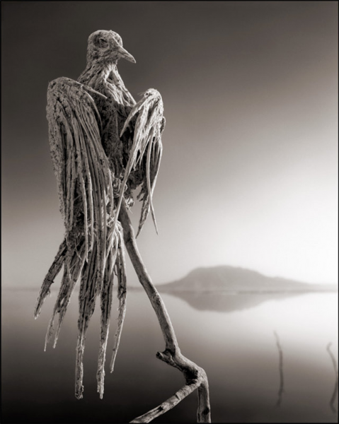 killer-lake-bird-statues-2.png