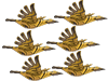 Vénérable Inca