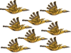 Grand Condor