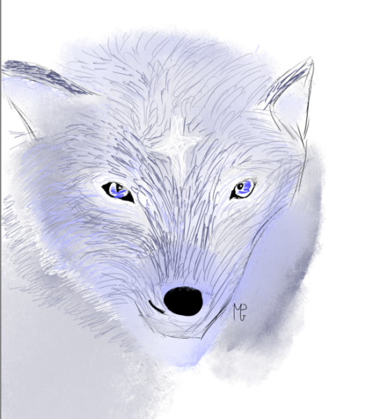 Loup spb par Jade énergia 1.png