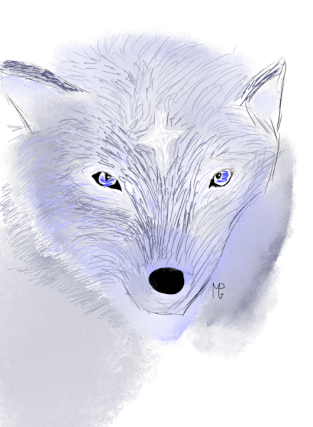 Loup spb par Jade énergia 2.png