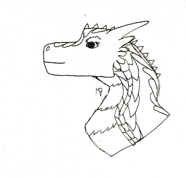 head dragon boue.jpg