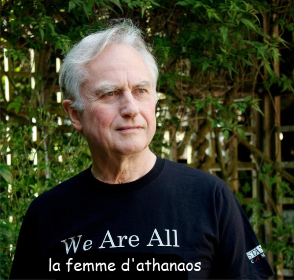 memecog5.png