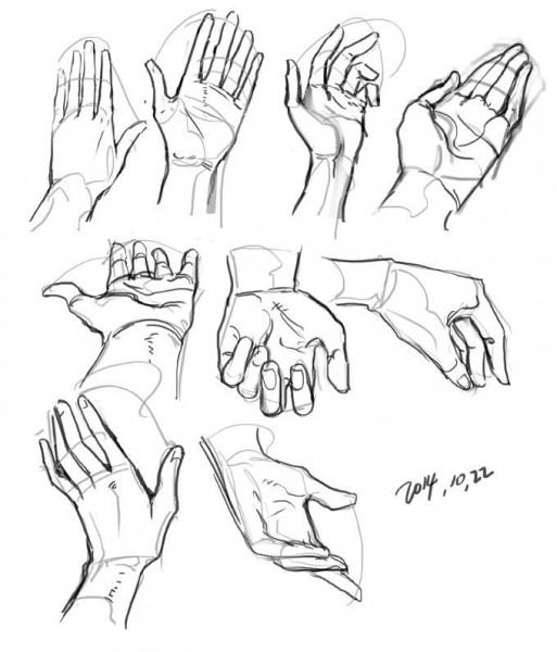 86abf1b0a5b4f78ddaae1009612c235b--drawing-hands-drawing-tips.jpg