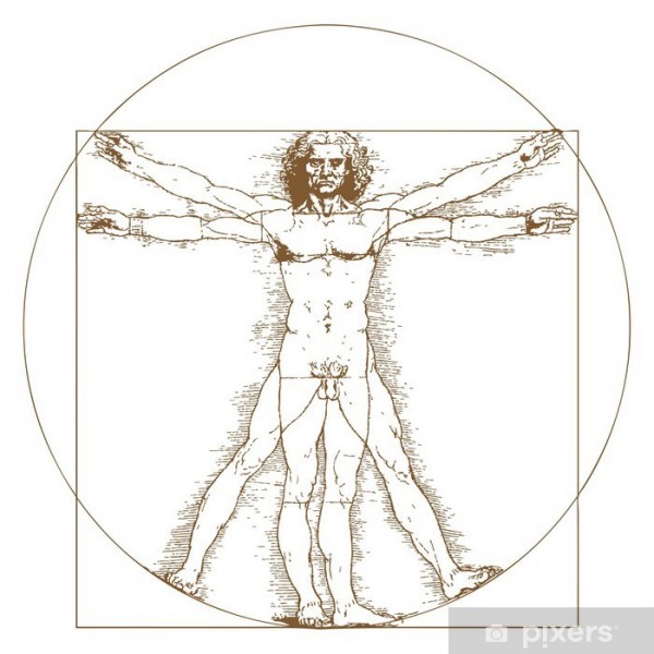 posters-homme-de-vitruve-de-leonard-de-vinci.jpg