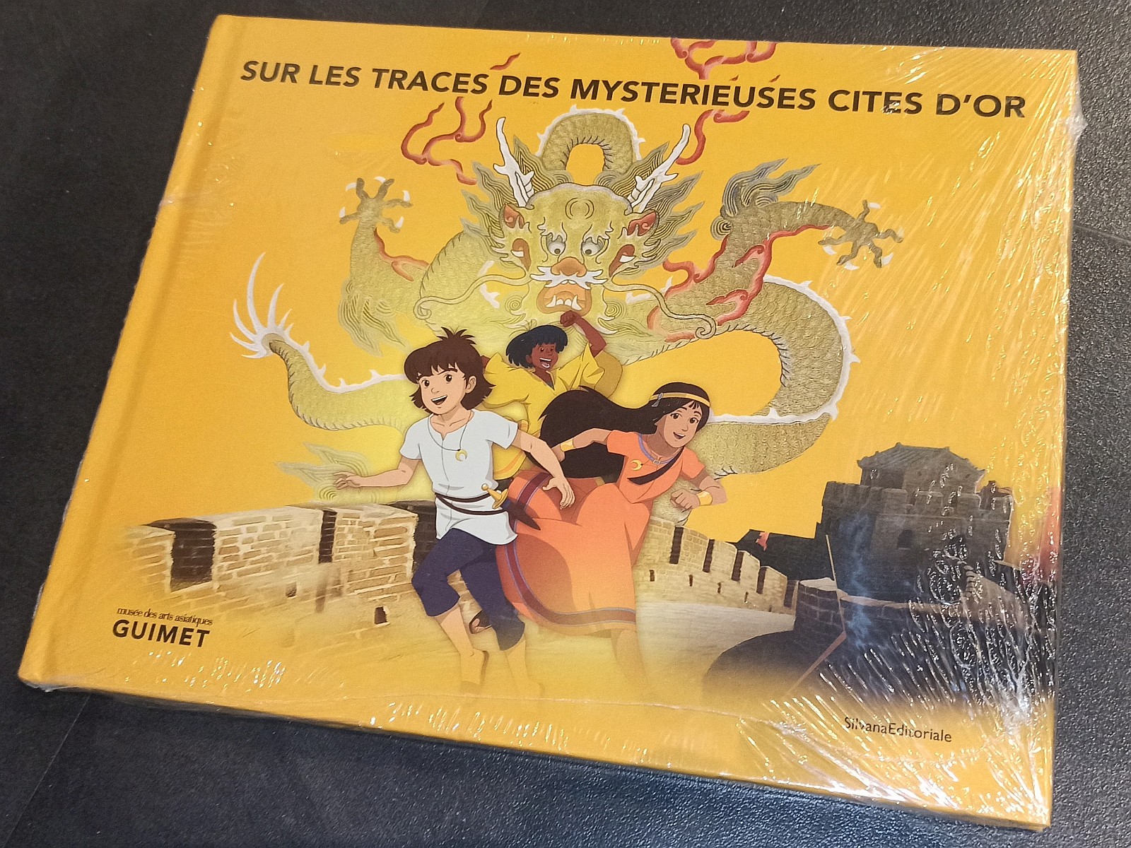 Exposition dans un musée à Nice (2013) - 3/94