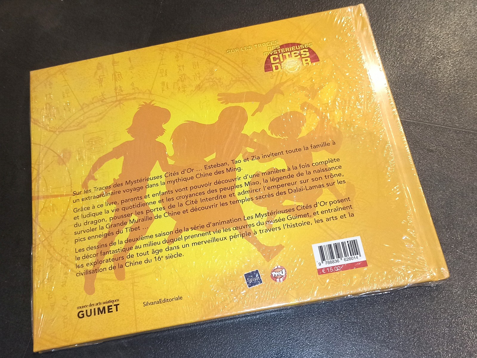 Exposition dans un musée à Nice (2013) - 4/94