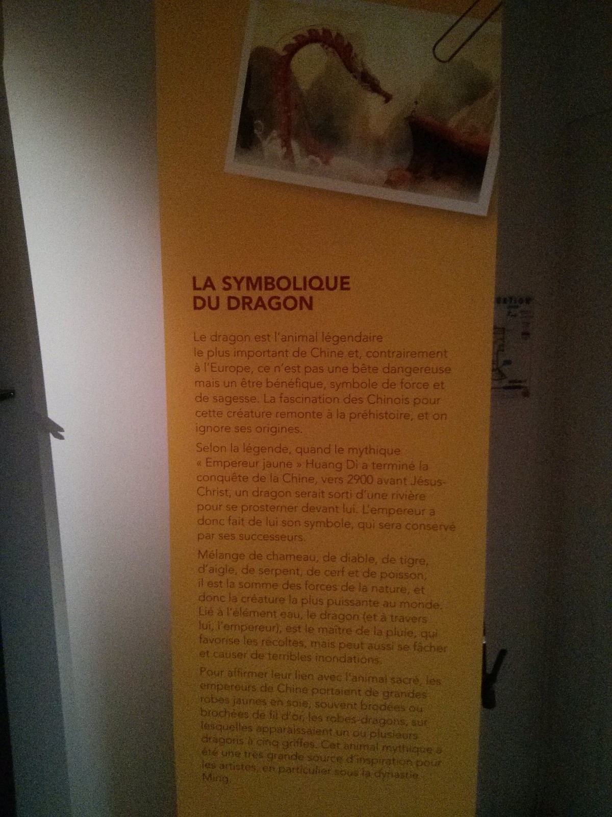 Exposition dans un musée à Nice (2013) - 39/94