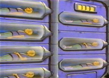 Les Olmèques - 18/32