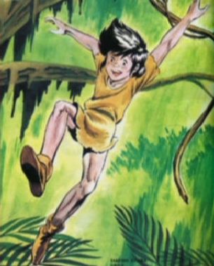 Les prototypes - 16/19