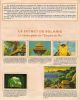 L'album d'autollants A.G.E. - 8/28