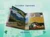 DVD Sony n° 5 - 20/71