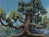 L'épisode 5 - 17/21