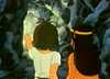 Les 3 enfants - 8/30